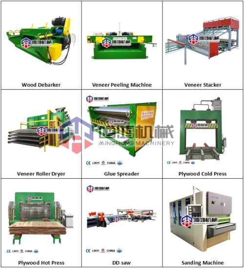 Professional Full Sets Plywood Machine with Good Quality