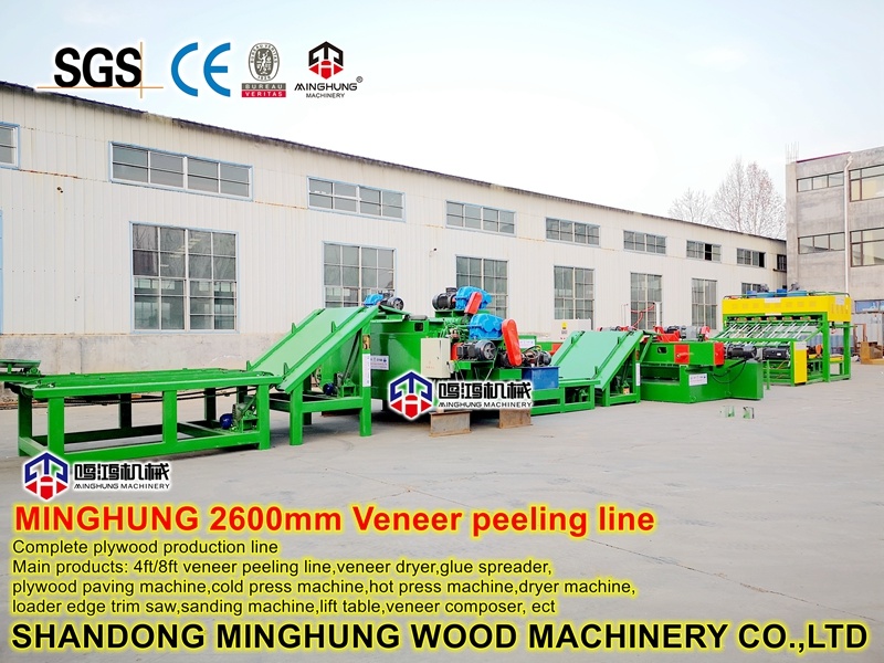 Strong Machine for Processing Wood Veneer