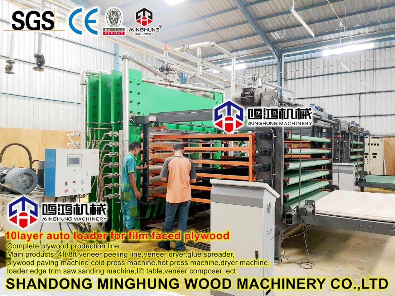 Strong Frame Plywood Hot Machine with Good Price