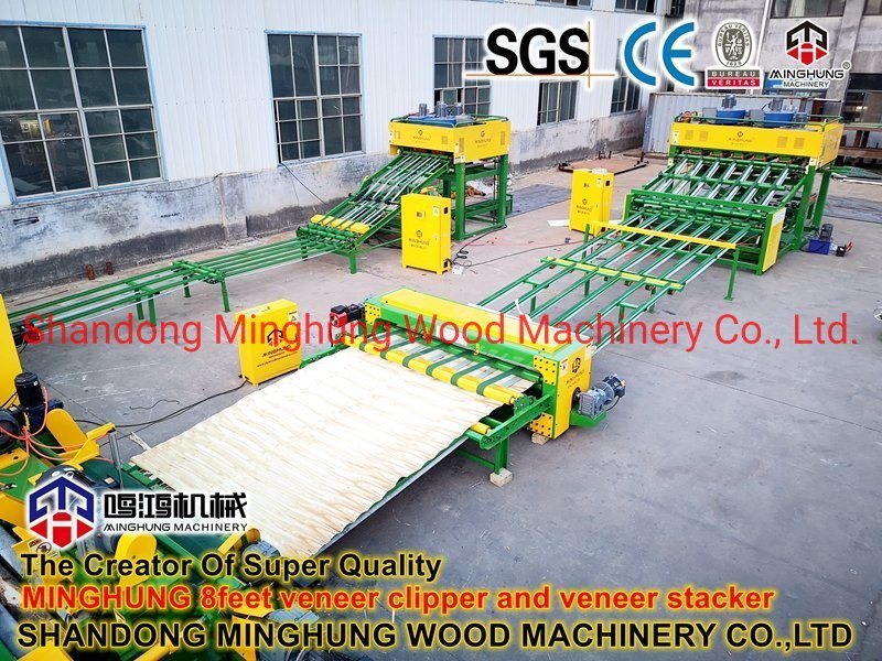 Spindleless 8feet Rotary Peeling Lathe for Wood Veneer