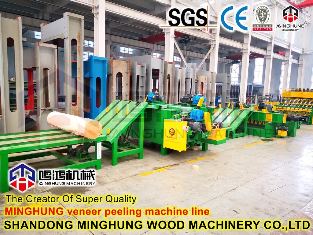Beech Bucks Peeling Machine for Forest Products Industry