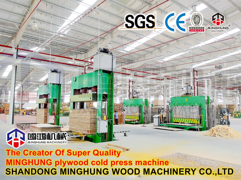 Plywood Production Cold Press Machine
