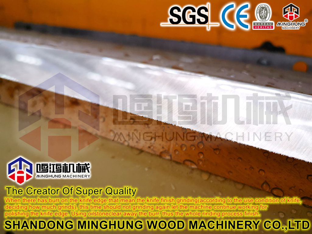 Blade for Veneer Peeling