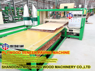 Plywood Veneer Core Lay out Paving Machine