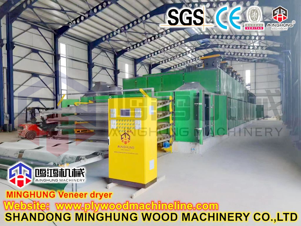 Chinese Plywood Wire Roller Veneer Drying Line