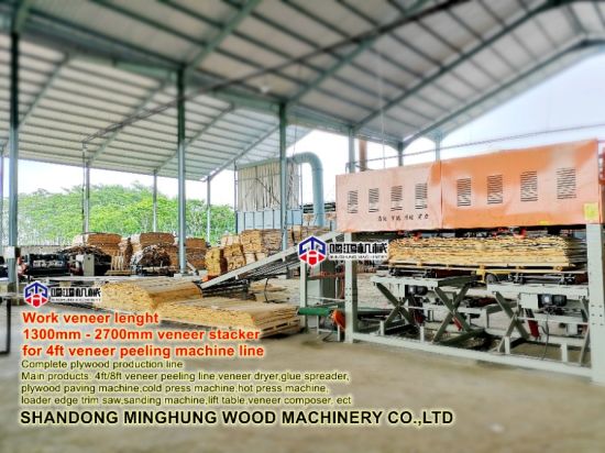 Plywood Machine for Sale in China