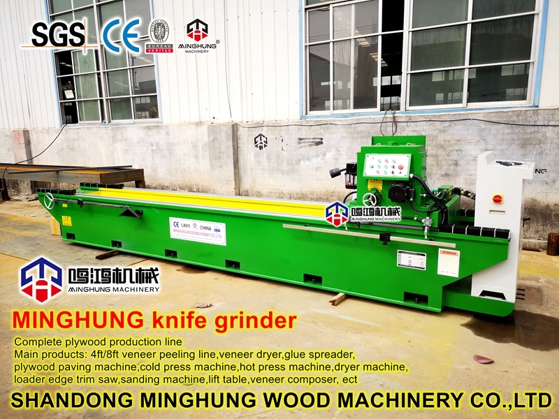Blade Sharpening Machine for Grinding Peeling Knife
