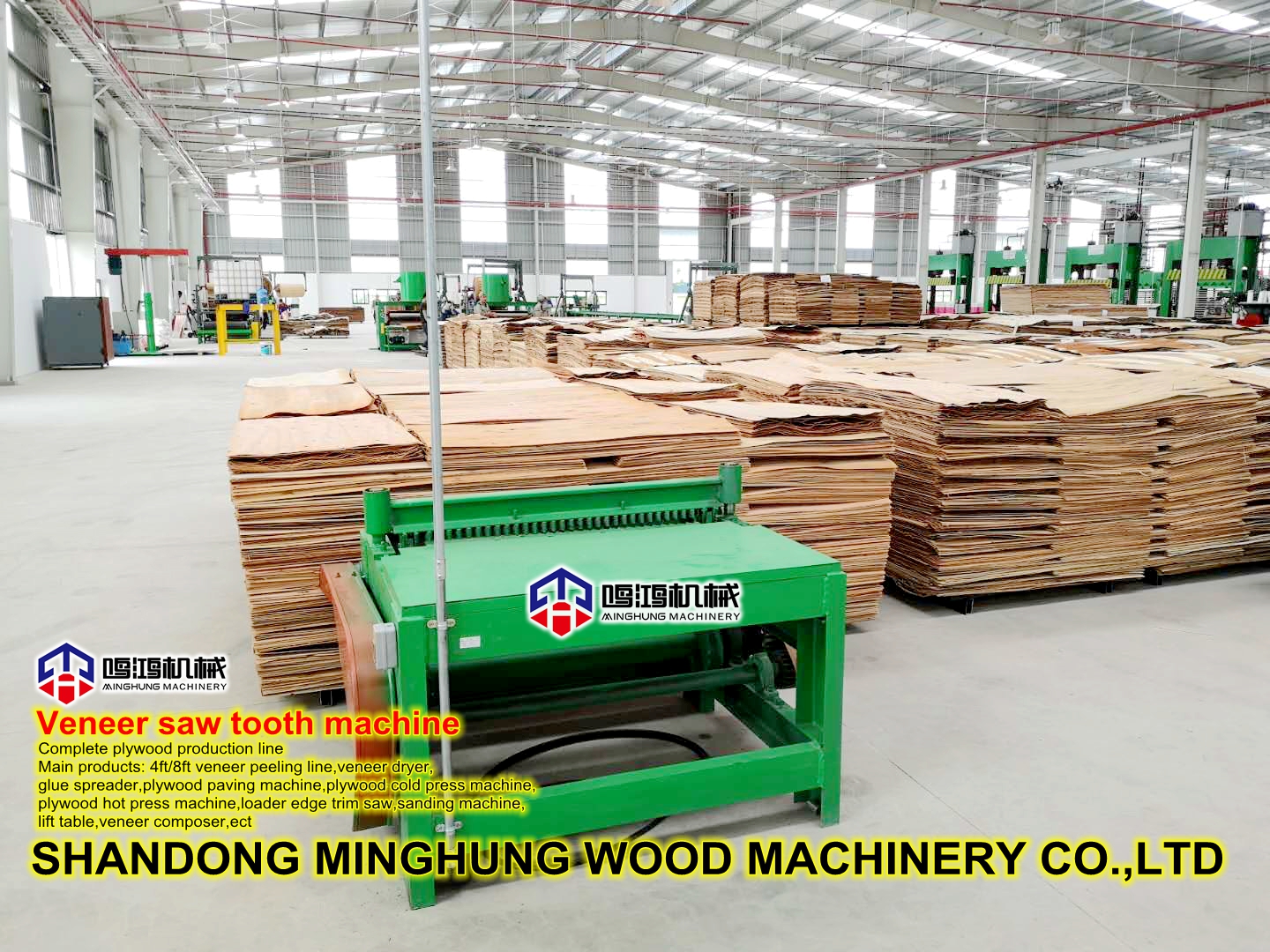 Veneer saw tooth machine