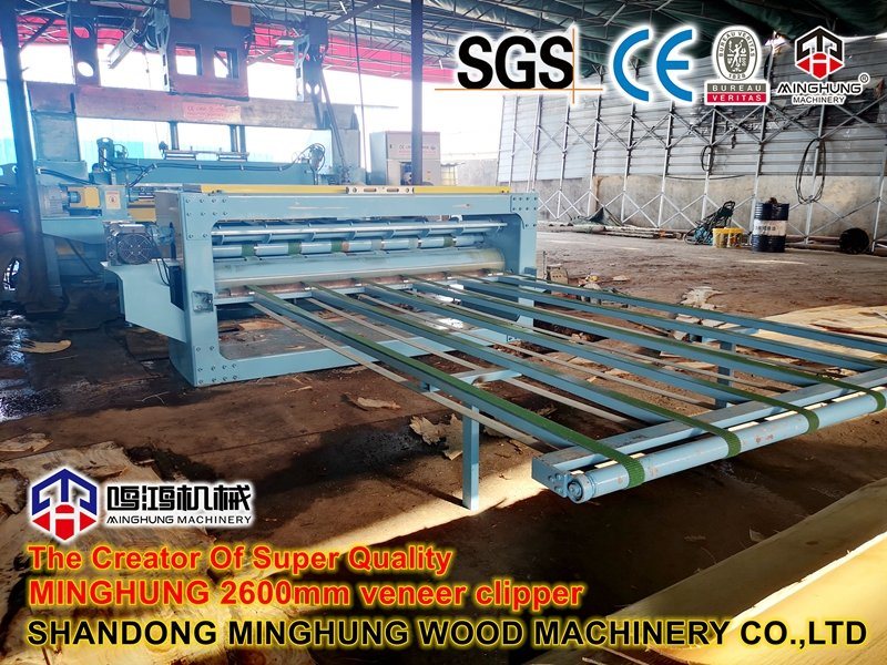 Full Sets Plywood Machine in China